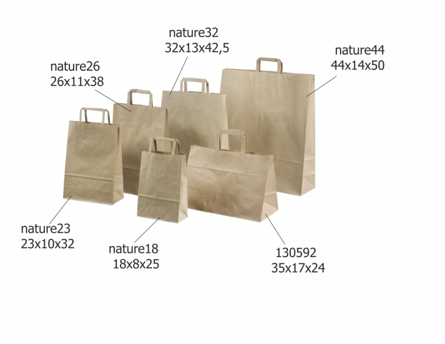 Ecological Paper Bag with Flat Handles