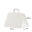 Valge take away paberkott 35x23x25 cm